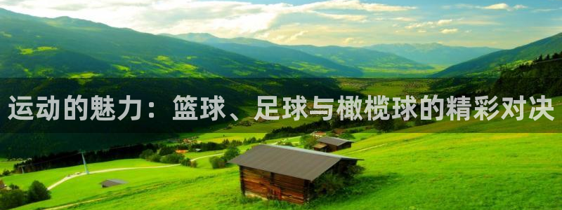 vsport体育官方正版app五金厂：运动的魅力：篮