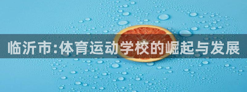 vsport体育官方正版app娱乐：临沂市:体育运动