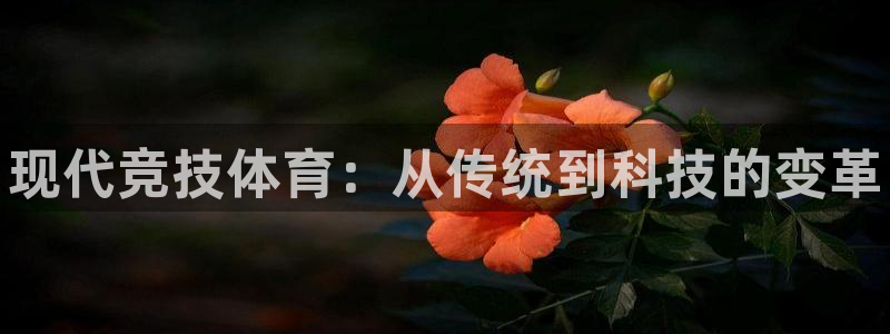 vsport体育官网下载招商电话是多少啊：现代竞技体