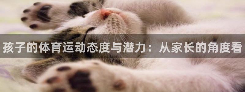 vsport体育官方正版app集团E.ON：孩子的体