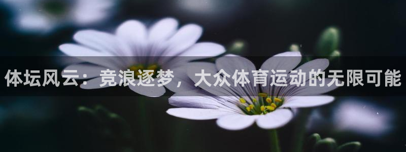 vsport体育官网下载平台APP：体坛风云：竞浪逐