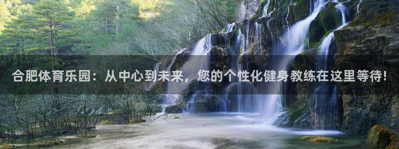 vsport体育官方集团官网：合肥体育乐园：从中心到
