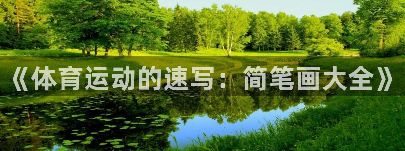 vsport体育官方正版app集团官网网址：《体育运