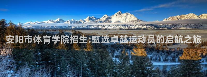 德国vsport体育官方正版app集团：安阳市体育学