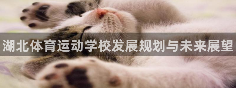 vsport体育官网下载招商电话是多少号码：湖北体育
