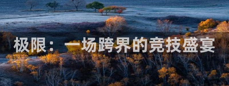 vsport体育官网下载开户：极限：一场跨界的竞技盛