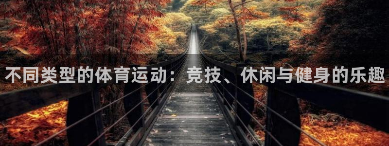 vsport体育官方正版app五金厂：不同类型的体育