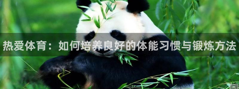 vsport体育官网下载平台是正规平台吗：热爱体育：