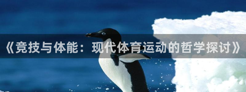 vsport体育官网下载平台是正规平台吗