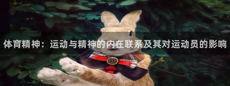 vsport体育官方集团官网：体育精神：运动与精神的