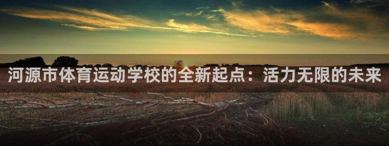 vsport体育官网下载平台是正规平台吗安全吗：河源市体育运