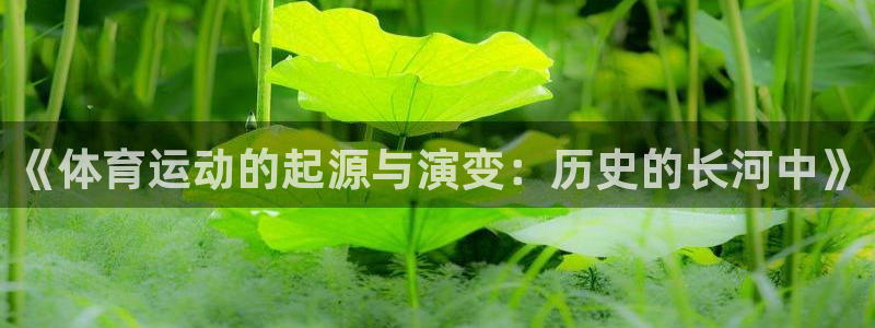 vsport体育官网下载招商电话号码是多少号