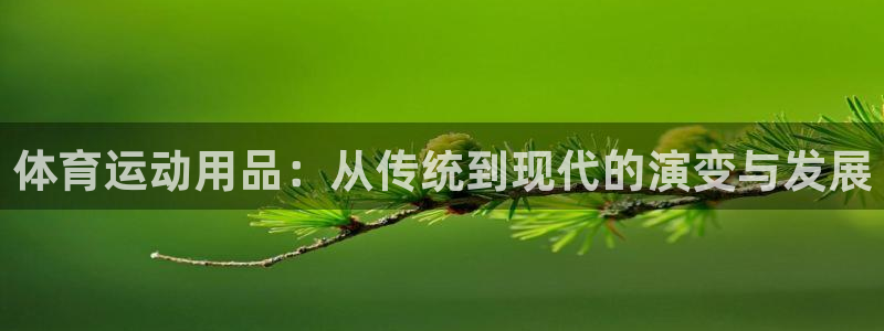 vsport体育官方正版app集团官网网址