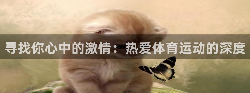 vsport体育官网下载招商电话号码：寻找你心中的激情：热爱
