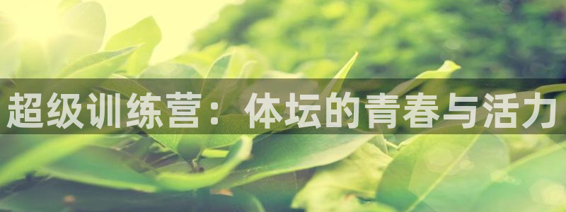 vsport体育官网下载平台