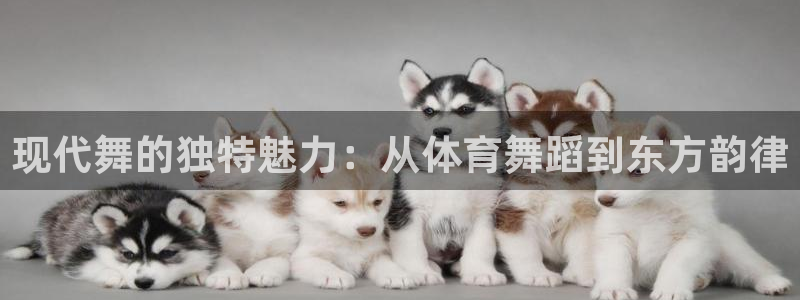 vsport体育官方正版app代理：现代舞的独特魅力