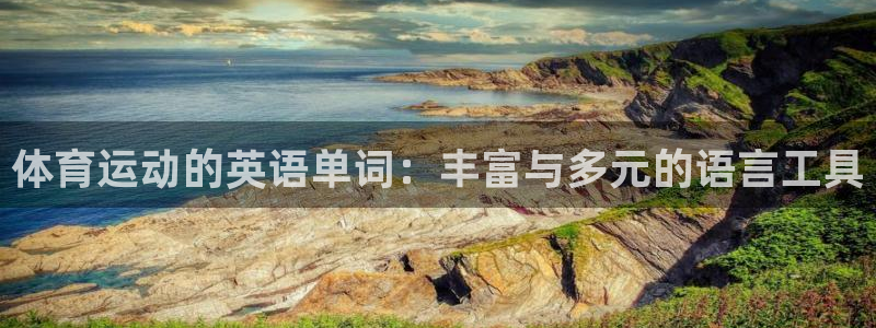 vsport体育官网下载平台是正规平台吗知乎：体育运