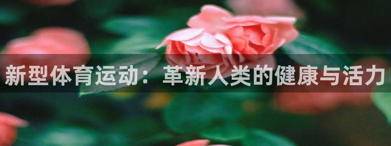 vsport体育官方正版app集团简介：新型体育运动