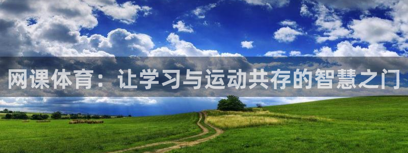 vsport体育官方正版app娱乐首页网站大全：网课